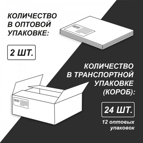 "Светоч"   80А43   Артбук (Скетчбук), мат.ламинация + тисн.золотой фольгой, блок белый, с жесткой подложкой,   100 г/м2  175*200 мм  на гребне   80 л.  2 шт. Тропические листья 01063