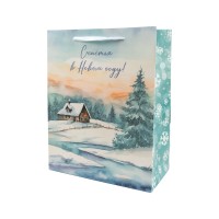 "Stilerra"   NHYM   подарочный пакет   210 г/кв.м  26 х  32 х  12 см  12 шт. 01