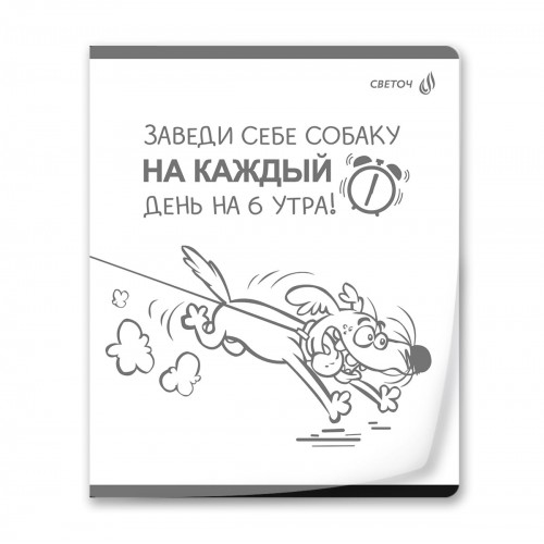 "Светоч"   Т64   Тетрадь общая с пластик.обложкой 180 мкр., ч/б запечат. титульн.лист,   A5+   60 л.  на скобе   65 г/кв.м , белизна 100 \%  10 шт.  клетка 01107 Микс - У нас на районе