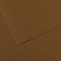 "Canson"   Бумага для пастели Mi-Teintes   160 г/м2  21 х  29.7 см  лист   25 л. №501 Коричневый табак C31033S037