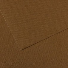 "Canson"   Бумага для пастели Mi-Teintes   160 г/м2  21 х  29.7 см  лист   25 л. №501 Коричневый табак C31033S037
