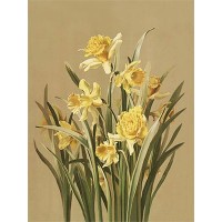 Канва/ткань с рисунком "Gamma"   Основа с рисунком   для вышивания лентами   36 см х 30 см OVM-0107 "Нарциссы"