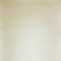 Бумага для скрапбукинга Mr.Painter PSTM 250 г/кв.м 30.5 x 30.5 см 10 шт. 02 Шампань
