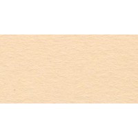 "VISTA-ARTISTA"   Бумага цветная   TKO-A2   300 г/м2  A2   42.5 х  60 см  10 шт. 08 бежевый (beige)