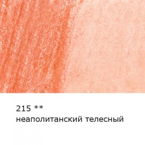 "VISTA-ARTISTA"   "Gallery"   VGWP   Карандаш акварельный художественный   заточенный   6 шт. 215 Неаполитанский телесный (Naples flesh light)
