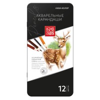 "Аква-колор"   "Изостудия"   IZO-WCPM12   Набор акварельных карандашей   заточенный   2 х  12 цв. в металлической коробке