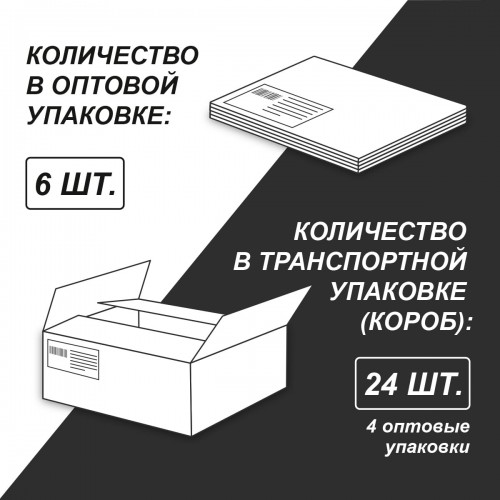 "Светоч"   Т156   Тетрадь ученическая общая,   A4   96 л.  на скобе   65 г/кв.м , белизна 100 \%  6 шт.  клетка 01352 Тайны природы