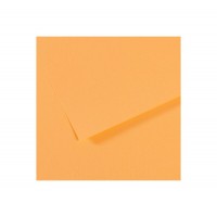 "Canson"   Бумага для пастели Mi-Teintes   160 г/м2  75 х  110 см  лист   25 л. №470 кукурузный C200321147