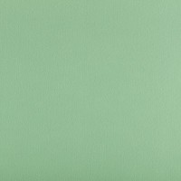Фетр "Gamma"   Premium   FKS12-33/53   декоративный   1.2 мм  33 см х 53 см 863 мятный