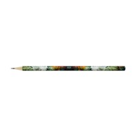 "ВКФ"   "Hot Print"   HP01-12Д   Карандаш графитный круглый   заточенный   ТМ (HB)   12 шт. 3025 Жостовский узор