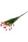 Искусственное растение "Blumentag"   ATJ-09   Растение искусственное "Мирика"   30-42 см  5 х  1 шт. 02 красный