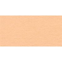 "VISTA-ARTISTA"   Бумага цветная   TPO-A4   120 г/м2  A4   21 х  29.7 см  50 шт. 42 абрикос (abricot)