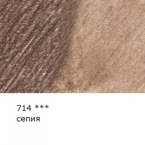 "VISTA-ARTISTA"   "Gallery"   VGWP   Карандаш акварельный художественный   заточенный   6 шт. 714 Сепия (Sepia)