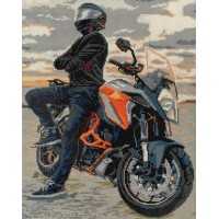 Кристальная (алмазная) мозаика  "ФРЕЯ" ALPD-185   на подрамнике "Мотоциклист на закате" 40 х 50 см