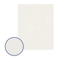 Картон грунтованный "VISTA-ARTISTA"   PKR-5060   50 х  60 см  6 шт.   "VISTA-ARTISTA"   PKR-5060   50 х  60 см  6 шт.
