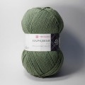 №117 киви