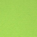 Бумага для скрапбукинга Mr.Painter PST 216 г/кв.м 30.5 x 30.5 см 10 шт. 28 Зелёное яблоко (ярко-зелёный)