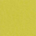 Бумага для скрапбукинга Mr.Painter PST 216 г/кв.м 30.5 x 30.5 см 10 шт. 45 Зеленый чай (желто-зеленый)