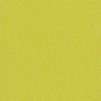 Бумага для скрапбукинга "Mr.Painter"   PST   216 г/кв.м  30.5 x 30.5 см  10 шт. 45 Зеленый чай (желто-зеленый)