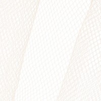 Ткань FTN/R   Фатин в шпульке   20 г/кв.м ± 1 г/кв.м  22.86 м  15 см  100\% нейлон 11 бежевый