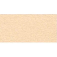 "VISTA-ARTISTA"   Бумага цветная   TKO-A3   300 г/м2  A3   29.7 х  42 см  25 шт. 08 бежевый (beige)
