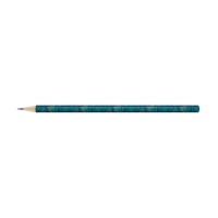 "ВКФ"   "Hot Print"   HP01-12Д   Карандаш графитный круглый   заточенный   ТМ (HB)   12 шт. 3021 Индийский эпос