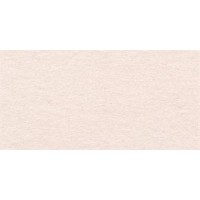 "VISTA-ARTISTA"   Бумага цветная   TPO-A4   120 г/м2  A4   21 х  29.7 см  50 шт. 43 светло-бежевый (light beige)