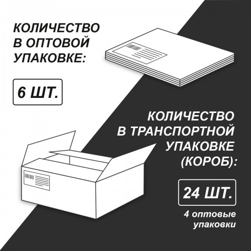 "Светоч"   Альбом для рисования   100 г/м2  A4   29 х  20.5 см  6 шт.  на гребне   48 л. 48АЛГР4_000275 Легенда