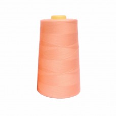 Нитки 100%  полиэстер 50/2 5000 ярдов 1038