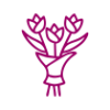 Флористика